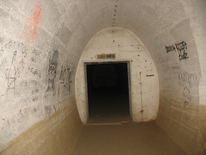 7/14 Nietoperze w Międzyrzeckim Rejonie Umocnionym