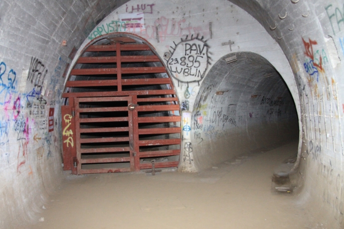 11/14 Nietoperze w Międzyrzeckim Rejonie Umocnionym