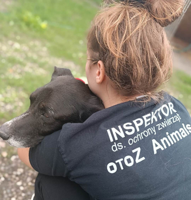 5/5 Katował psa, bo ten wszedł na jego fotel