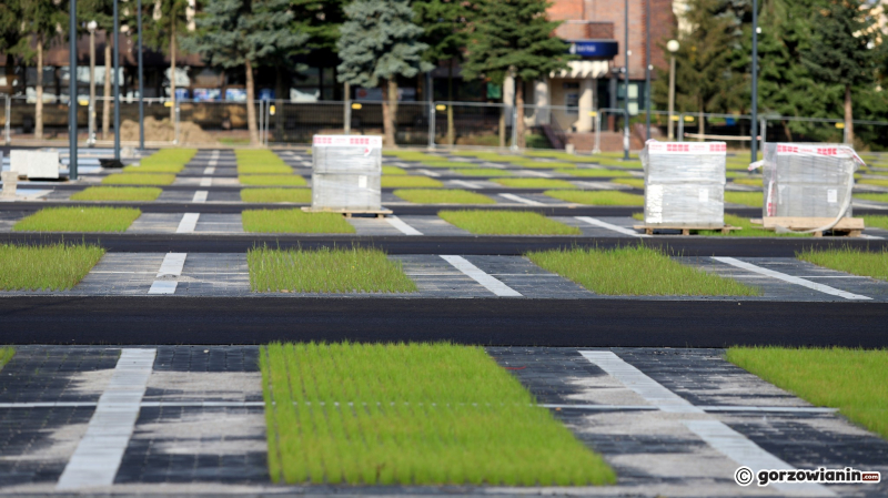 4/10 Zielony parking przed parkiem handlowym S1 Gorzów