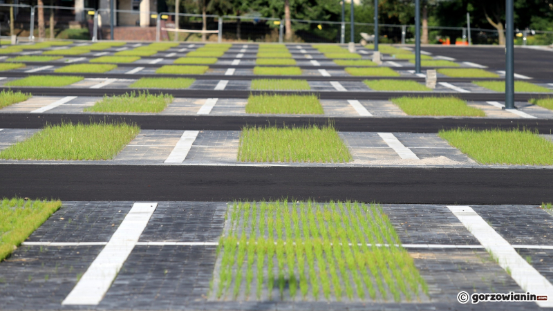 9/10 Zielony parking przed parkiem handlowym S1 Gorzów
