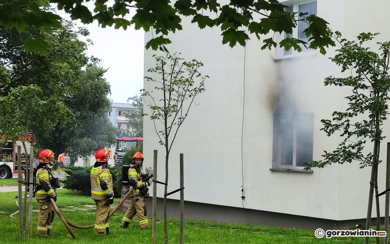 11/12 Pożar mieszkania przy ul. Kazimierza Wielkiego w Gorzowie