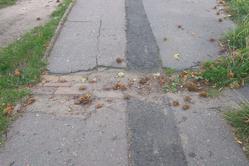 6/6 Chodniki w Gorzowie: Nierówności sięgają kilkunastu centymetrów
