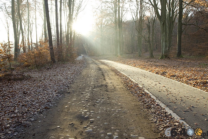 7/16 Barlinek: Ścieżki rowerowe