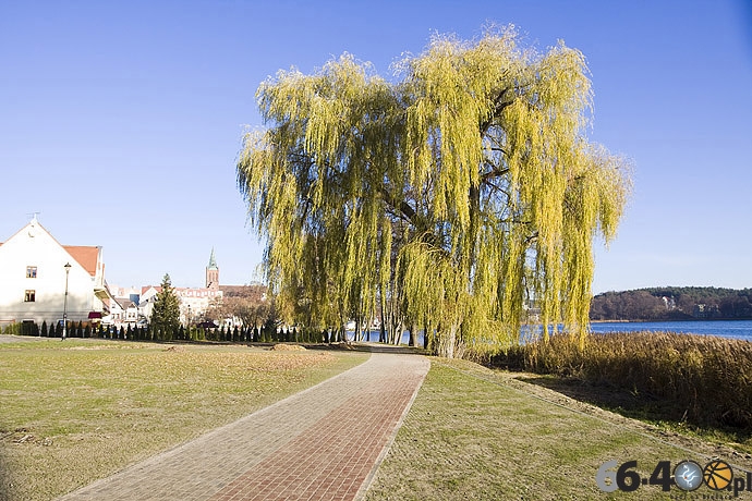 16/16 Barlinek: Ścieżki rowerowe