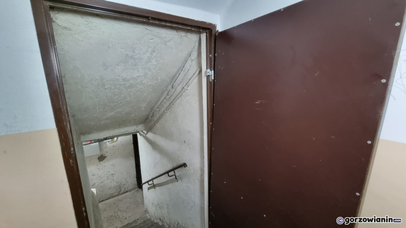 7/7 Bezdomni koczują w piwnicach przy ul. Słonecznej w Gorzowie