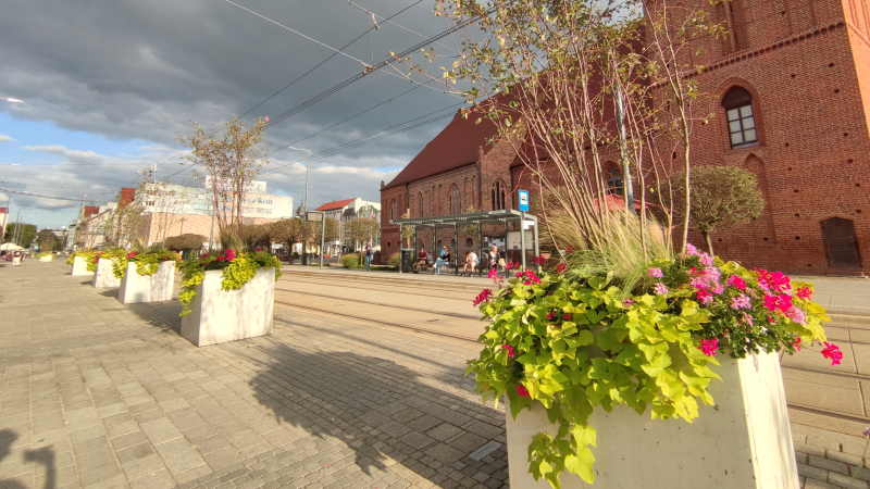 4/9 Prace rozpoczęte, czas start - mniej betonu, więcej zieleni w Gorzowie 