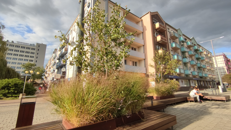 5/9 Prace rozpoczęte, czas start - mniej betonu, więcej zieleni w Gorzowie 