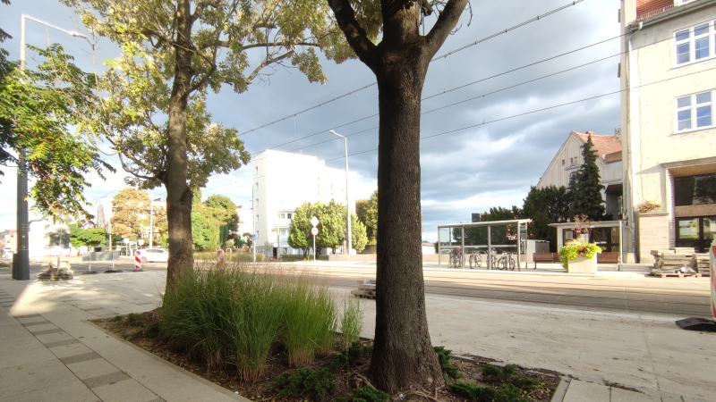 8/9 Prace rozpoczęte, czas start - mniej betonu, więcej zieleni w Gorzowie 