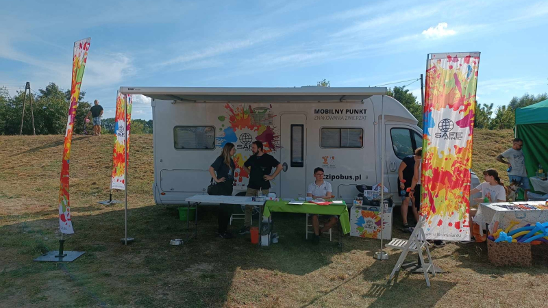 4/11 Pożegnanie lata w schronisku dla bezdomnych zwierząt w Gorzowie