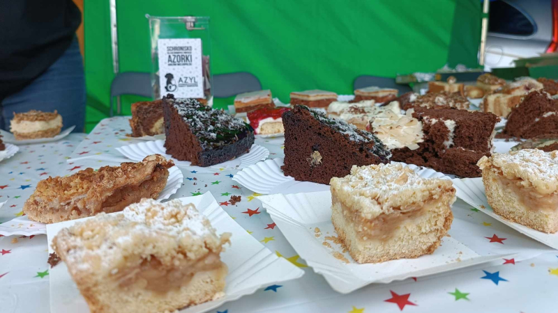 7/11 Pożegnanie lata w schronisku dla bezdomnych zwierząt w Gorzowie