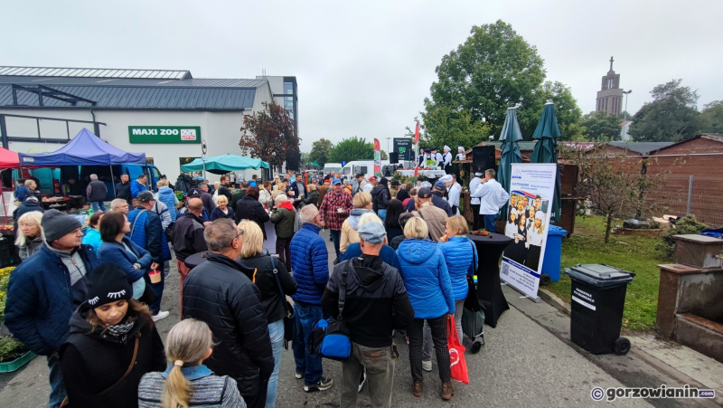 11/11 Smaki dzikiego lasu na ryneczku w Gorzowie