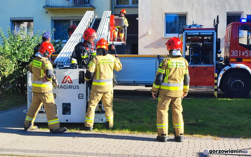 6/9 Tragedia przy Al. Konstytucji 3 Maja w Gorzowie. Nie żyje kobieta