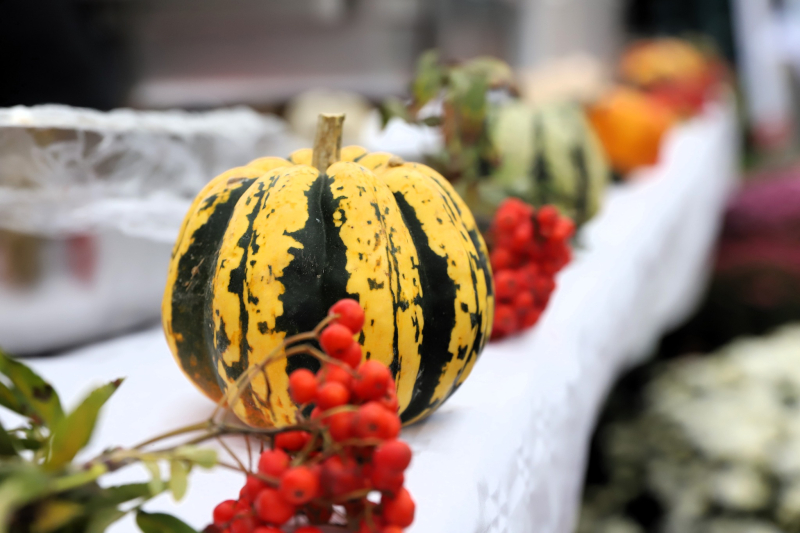 11/16 Pyszności na gorzowskim ryneczku. Zupa i bigos z dyni