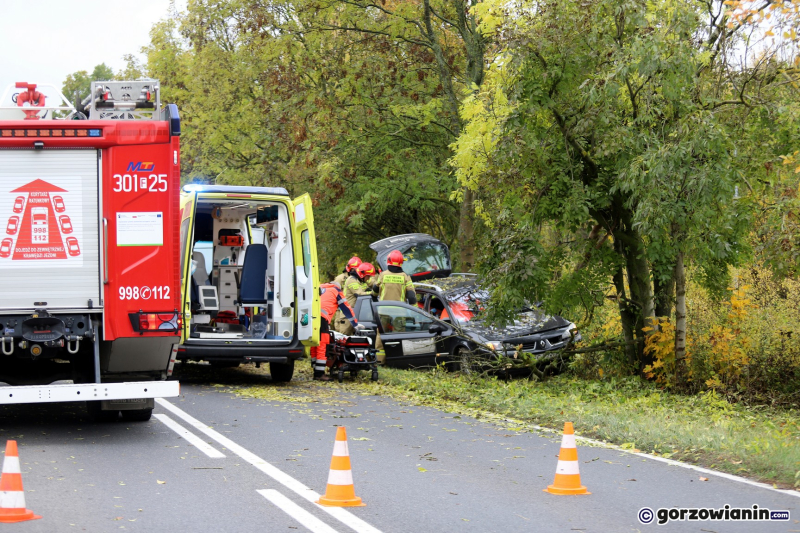 4/5 Kierujący uderzył w drzewo na drodze z Gorzowa do Kłodawy