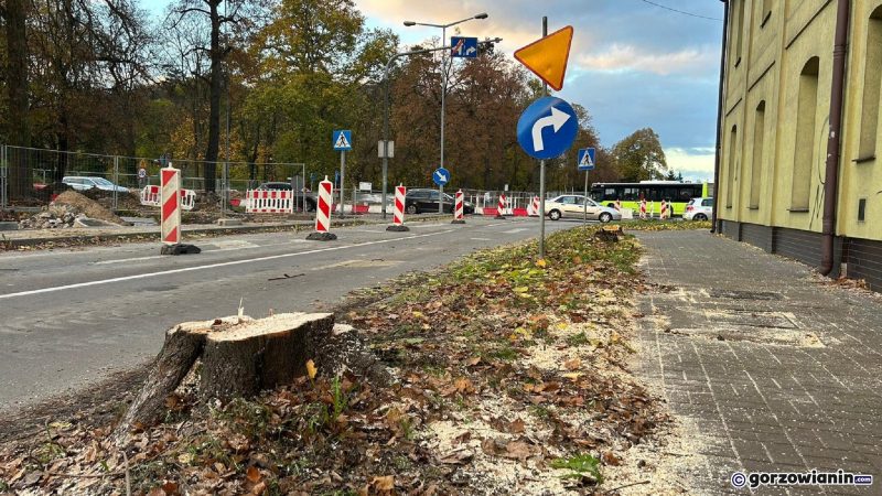 2/10 Wycinka drzew przy ul. Kosynierów Gdyńskich w Gorzowie