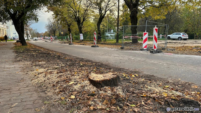 9/10 Wycinka drzew przy ul. Kosynierów Gdyńskich w Gorzowie