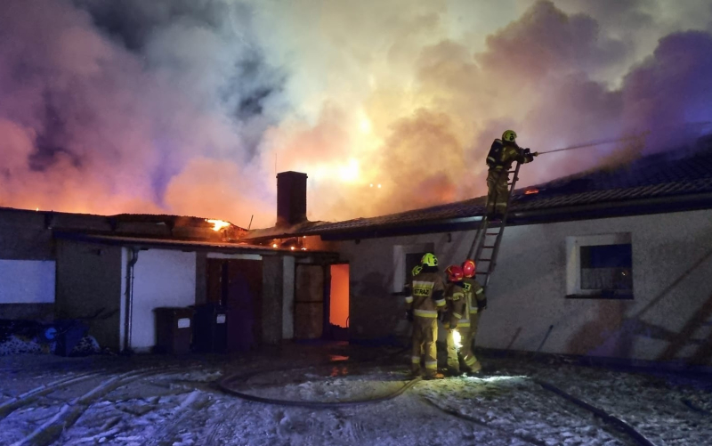 7/10 Pożar kurnika w Starym Polichnie. Spłonęło żywcem 6 tys. indyków