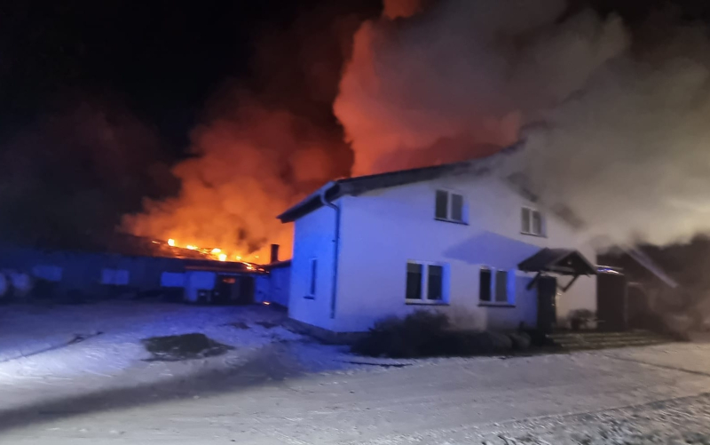 9/10 Pożar kurnika w Starym Polichnie. Spłonęło żywcem 6 tys. indyków