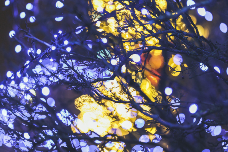 6/26 Świąteczny Gorzów w obiektywie aparatu