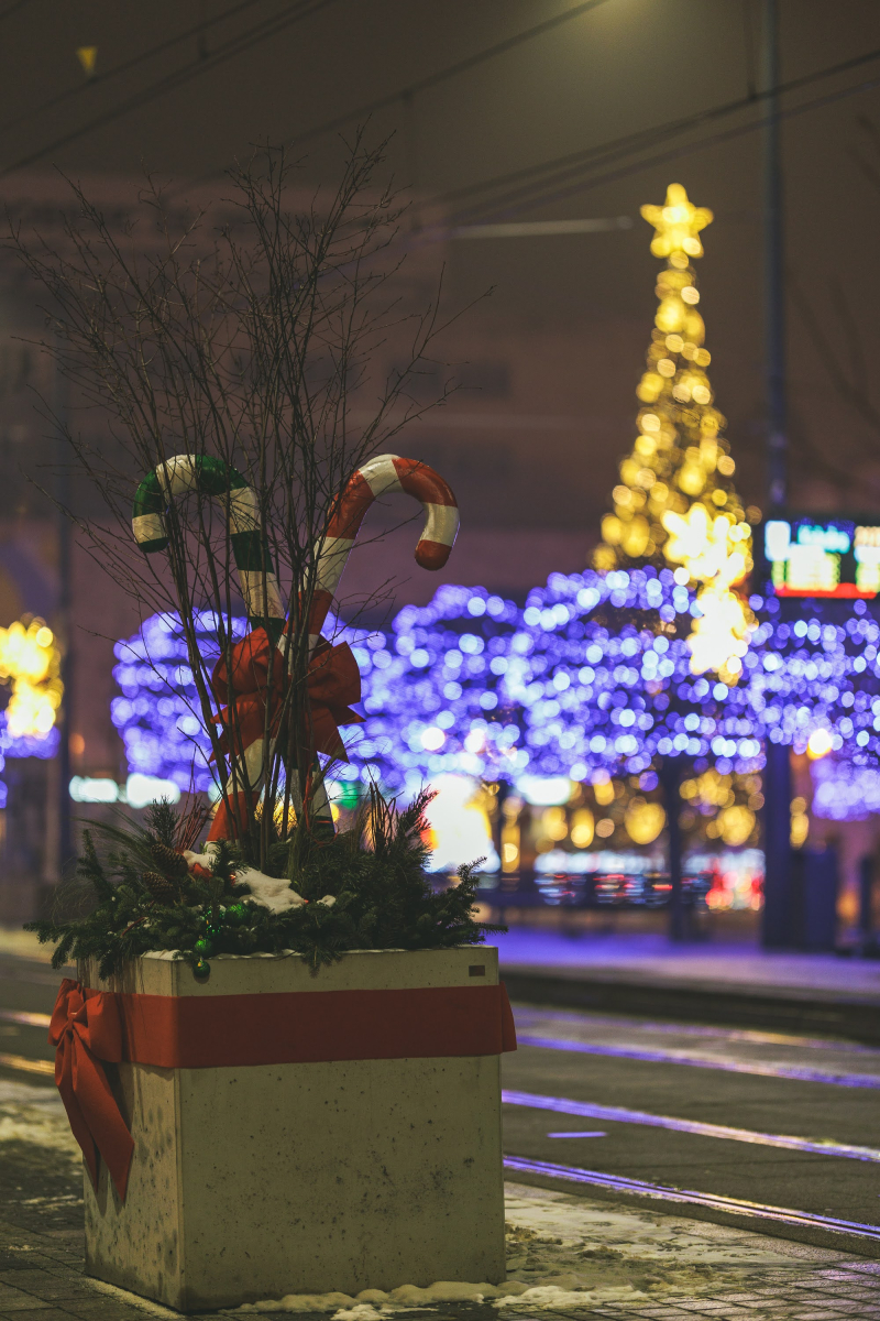 7/26 Świąteczny Gorzów w obiektywie aparatu