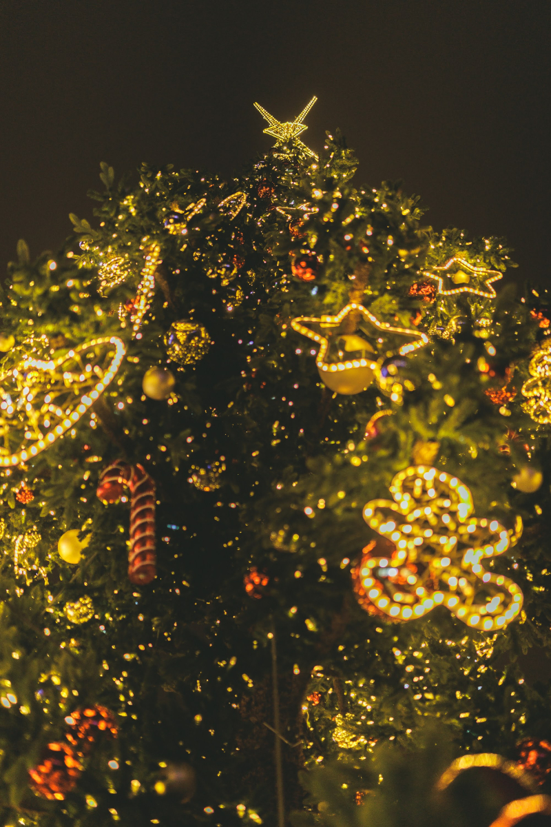 14/26 Świąteczny Gorzów w obiektywie aparatu