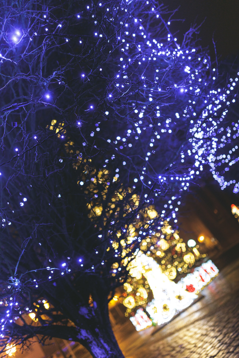 20/26 Świąteczny Gorzów w obiektywie aparatu