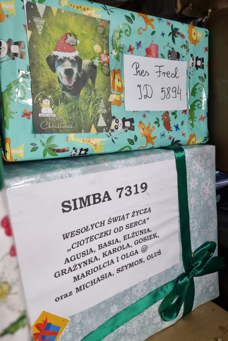 7/15 Psiaki ze schroniska zasypane prezentami na święta