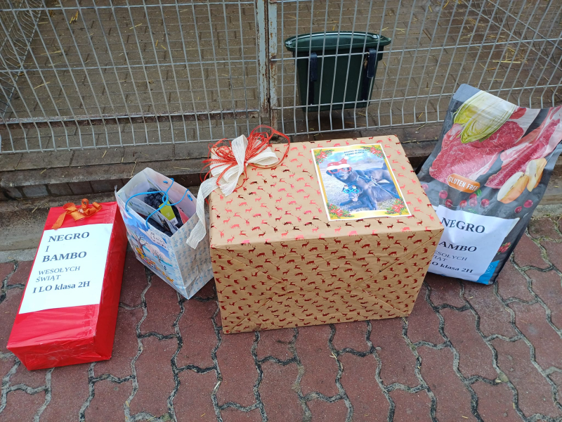 9/15 Psiaki ze schroniska zasypane prezentami na święta