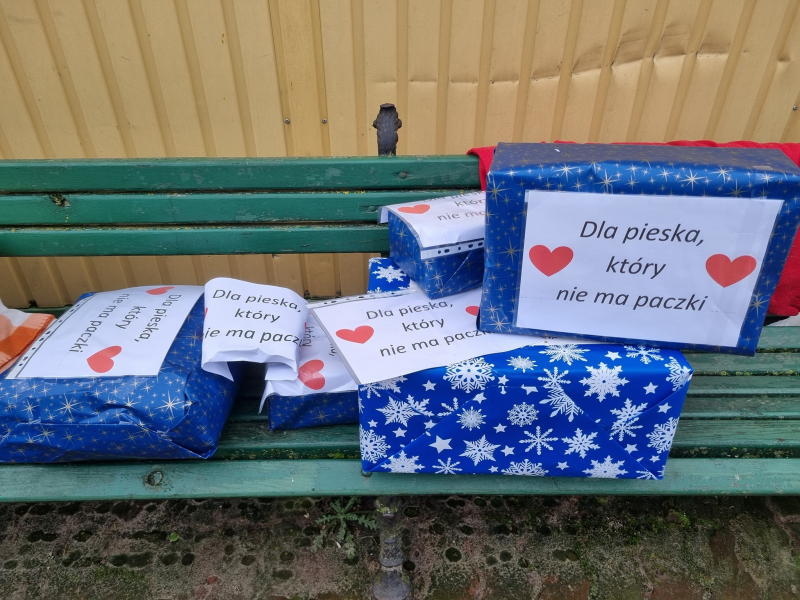10/15 Psiaki ze schroniska zasypane prezentami na święta