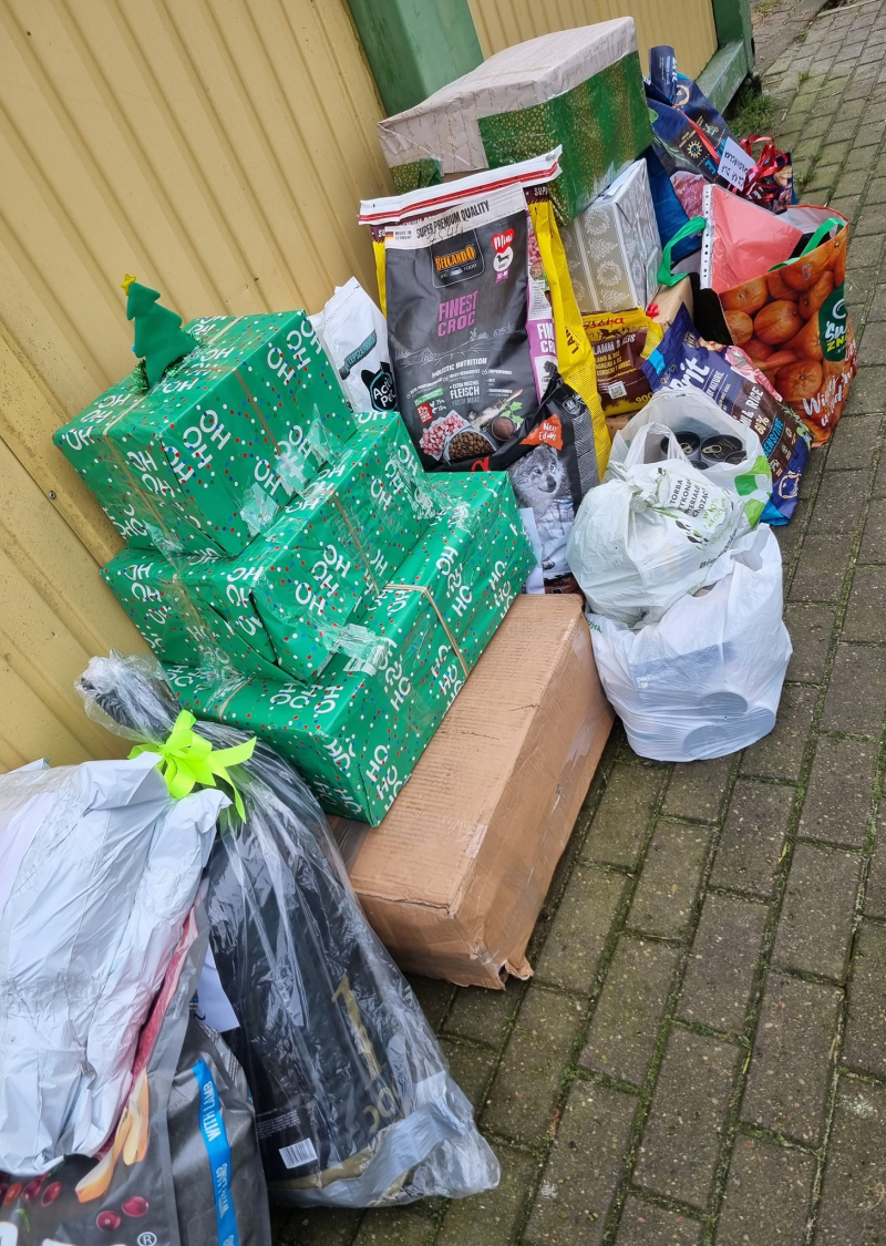 12/15 Psiaki ze schroniska zasypane prezentami na święta