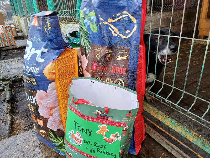 14/15 Psiaki ze schroniska zasypane prezentami na święta