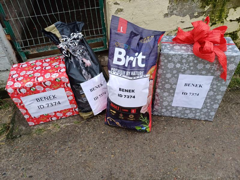 15/15 Psiaki ze schroniska zasypane prezentami na święta