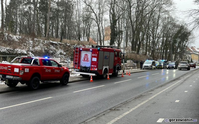 6/6 Służby przeszukują piwnice w dawnej leżakowni przy Walczaka