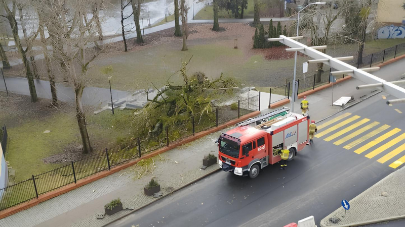 5/6 Wichura w Gorzowie. Złamane drzewo spadło na schody w parku Róż