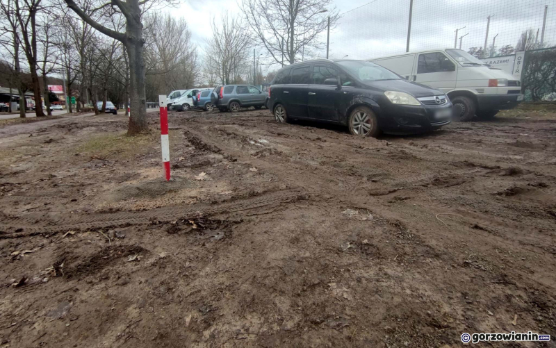 6/11 Zniszczony teren zielony przy ul. Wyszyńskiego w Gorzowie