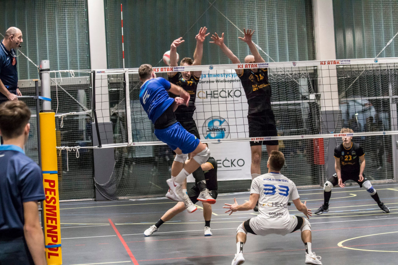 11/14 Agencja Inwestycyjna Stlion Gorzów - LUKS Wilki Wilczyn