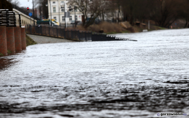 9/9 Wysoki poziom Warty w Gorzowie. Zalane nadwarciańskie bulwary