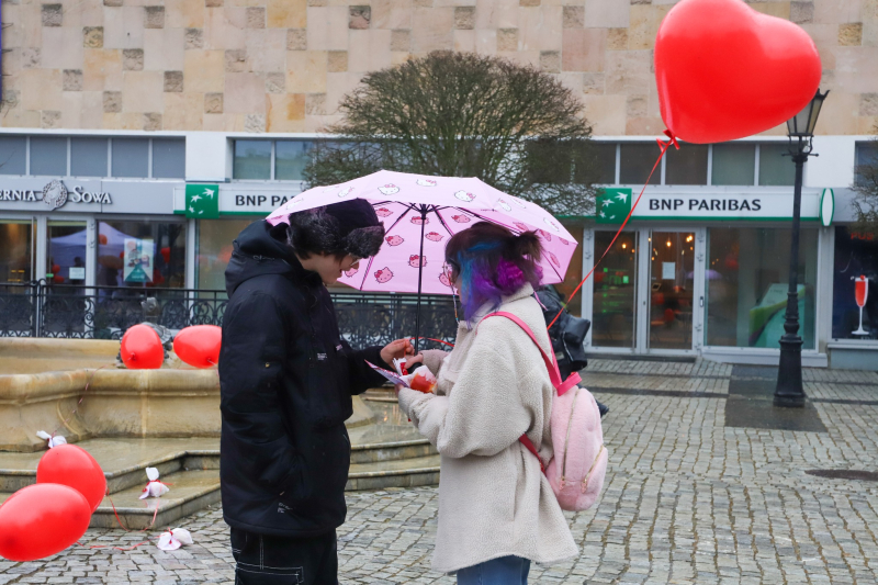 3/18 Walentynki 2024 w Gorzowie. Las czerwonych serc na Starym Rynku