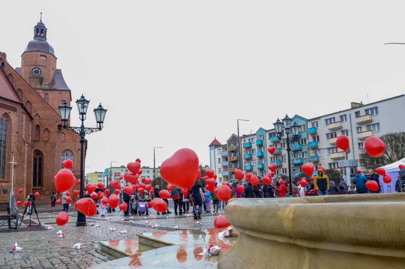 5/18 Walentynki 2024 w Gorzowie. Las czerwonych serc na Starym Rynku