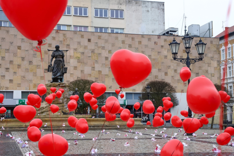12/18 Walentynki 2024 w Gorzowie. Las czerwonych serc na Starym Rynku
