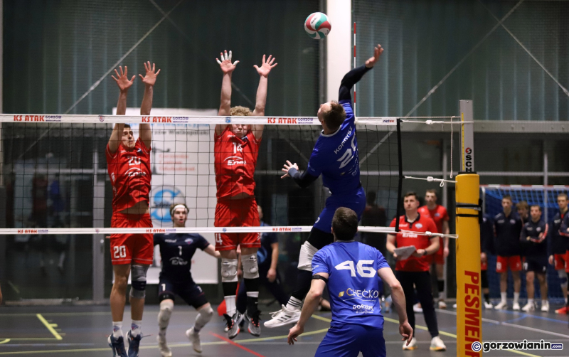 10/16 Agencja Inwestycyjna Stilon Gorzów- Enea Energetyk Poznań