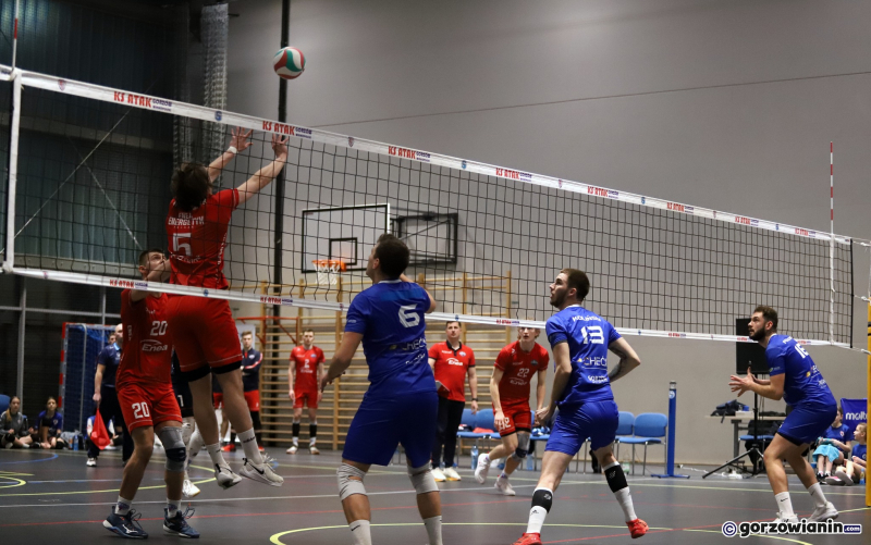 11/16 Agencja Inwestycyjna Stilon Gorzów- Enea Energetyk Poznań