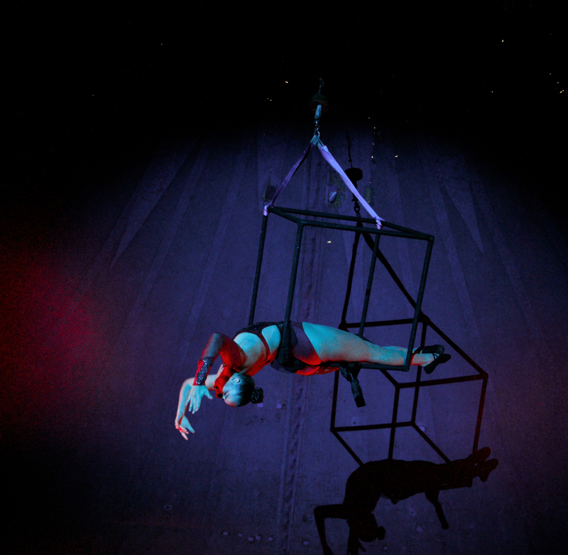 9/10 Cyrk Juremix: Nowoczesne widowisko dla całej rodziny!