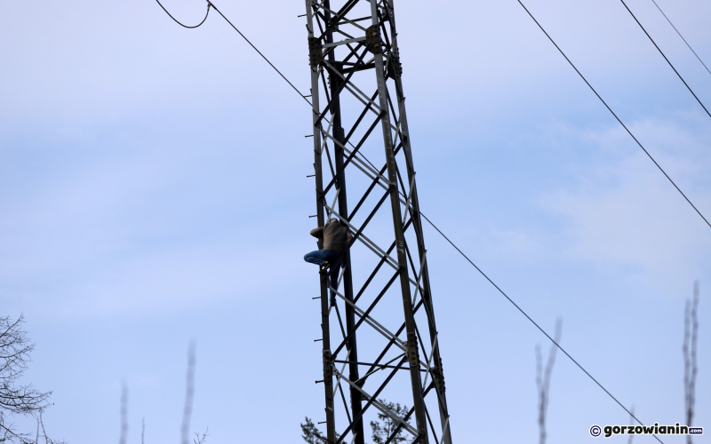 5/8 Mężczyzna wszedł na słup energetyczny przy ul. Olimpijskiej