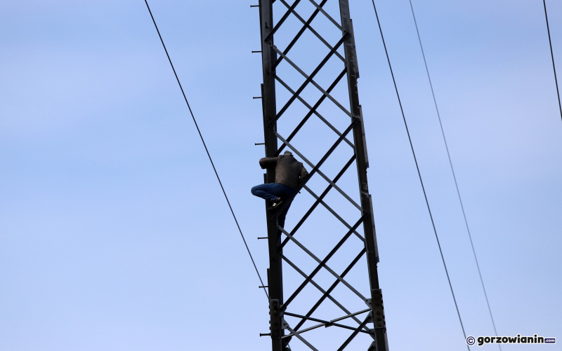 6/8 Mężczyzna wszedł na słup energetyczny przy ul. Olimpijskiej