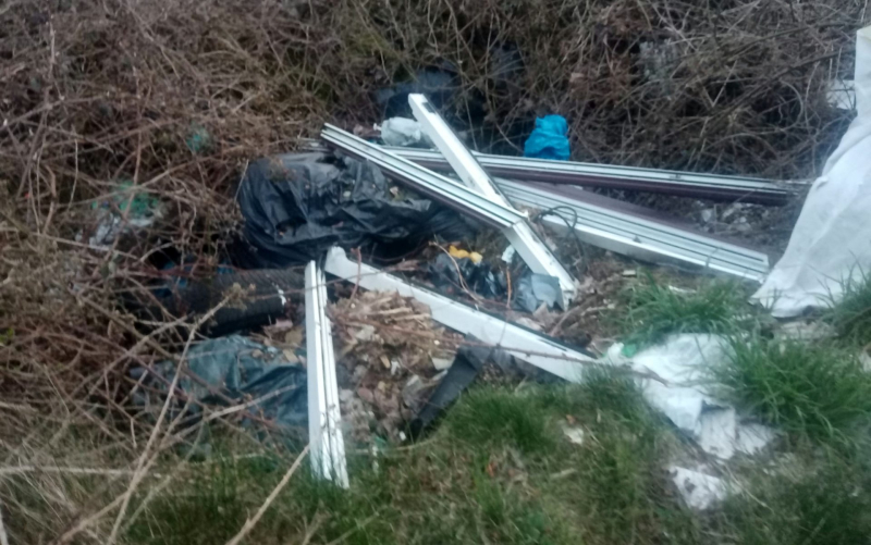 8/11 Pięć lat temu mieszkańcy Gorzowa sprzątali ten teren. Dziś to obraz nędzy i rozpaczy