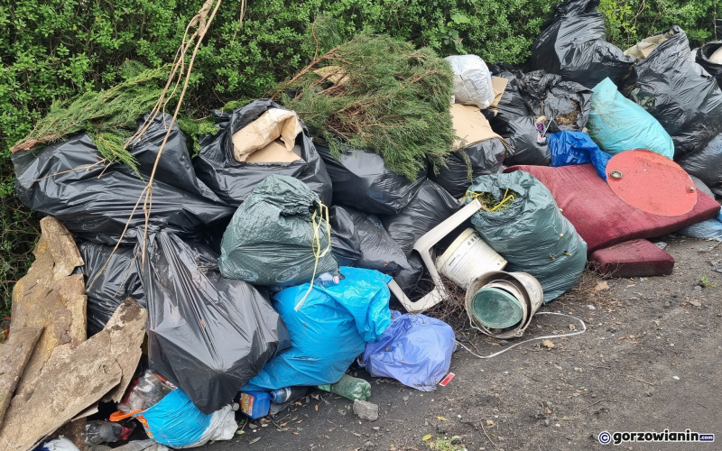 4/10 Góra śmieci urosła przy ogródkach działkowych na Zawarciu