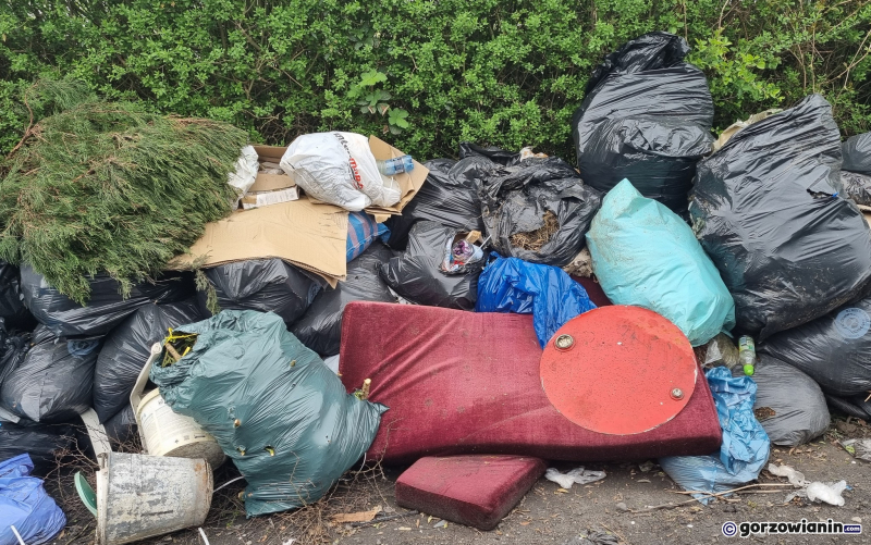 5/10 Góra śmieci urosła przy ogródkach działkowych na Zawarciu