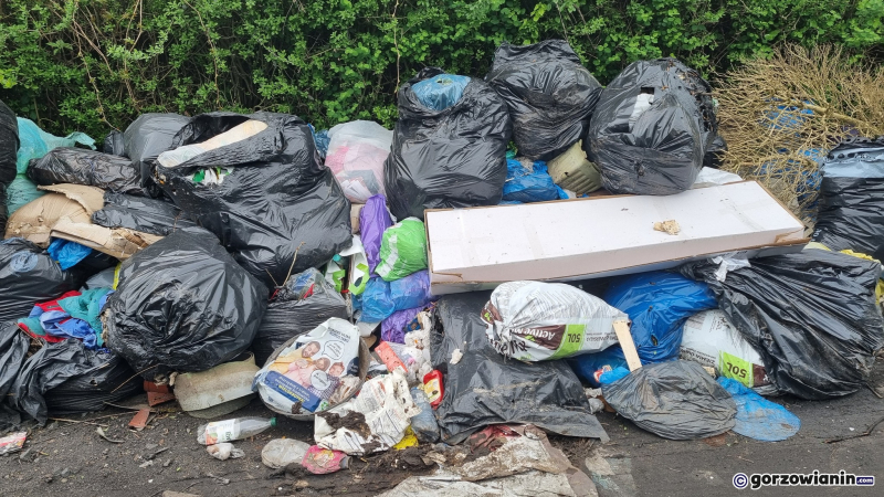 6/10 Góra śmieci urosła przy ogródkach działkowych na Zawarciu